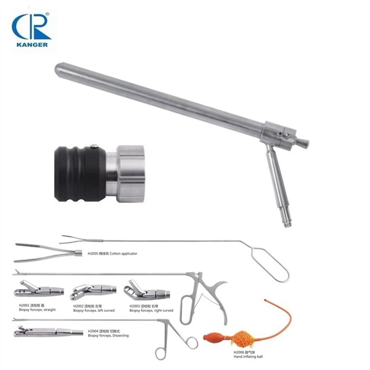 Sigmoid Scopy Sigmoidoscopes Sigmoidoscope